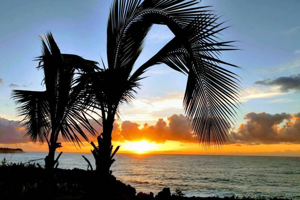 Pahoa Paradise Palms Екстер'єр фото